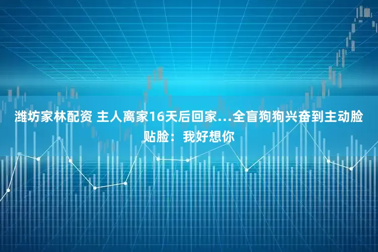 潍坊家林配资 主人离家16天后回家…全盲狗狗兴奋到主动脸贴脸:我好想你