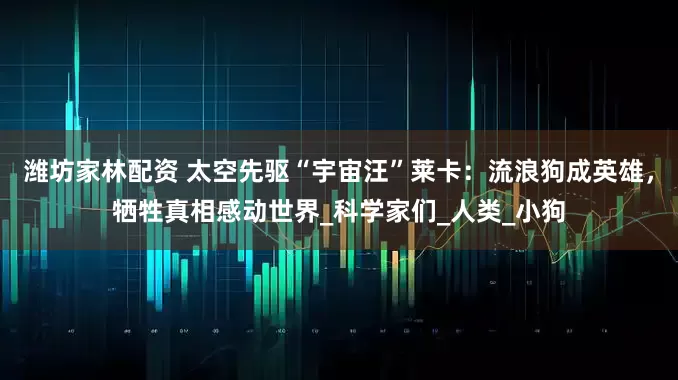 潍坊家林配资 太空先驱“宇宙汪”莱卡:流浪狗成英雄,牺牲真相感动世界_科学家们_人类_小狗