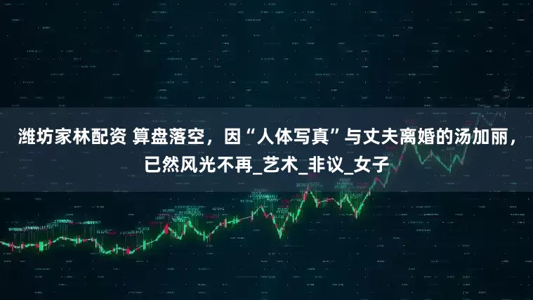 潍坊家林配资 算盘落空，因“人体写真”与丈夫离婚的汤加丽，已然风光不再_艺术_非议_女子