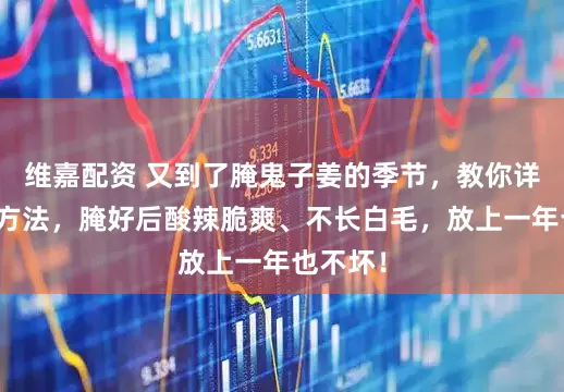 维嘉配资 又到了腌鬼子姜的季节,教你详细腌制方法,腌好后酸辣脆爽、不长白毛,放上一年也不坏!