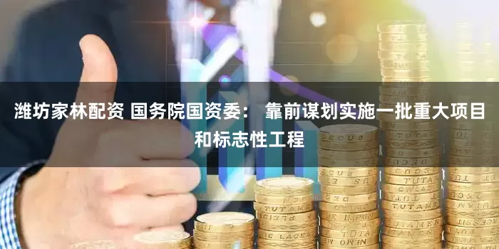 潍坊家林配资 国务院国资委： 靠前谋划实施一批重大项目和标志性工程